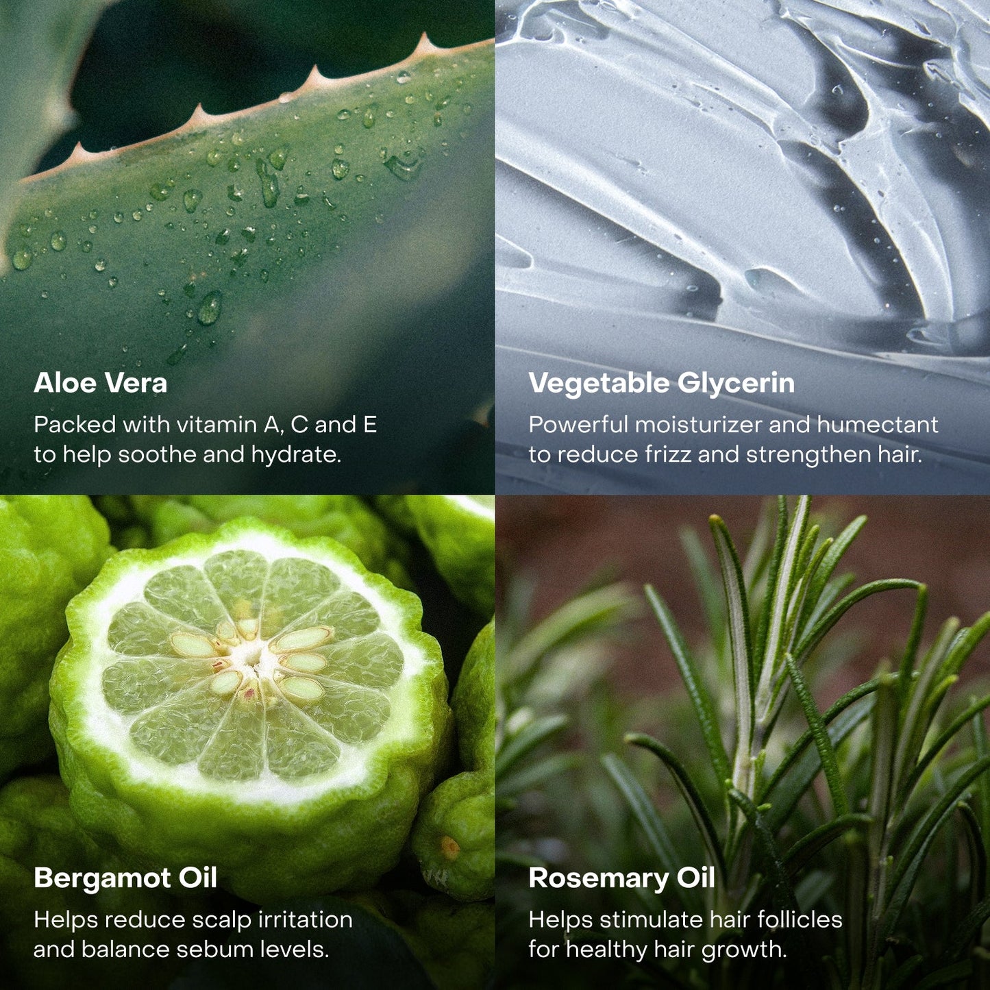 The Healthy Hair Starter Set