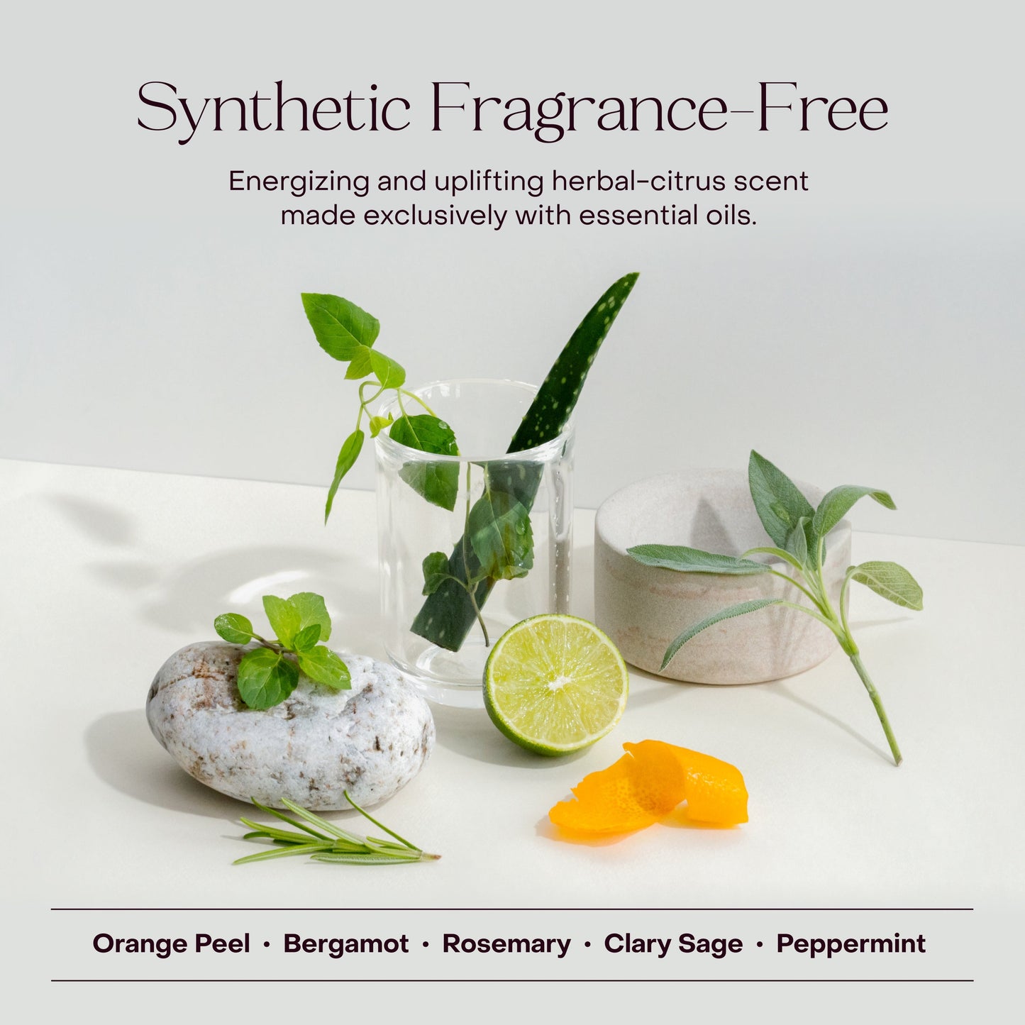 The Healthy Hair Starter Set